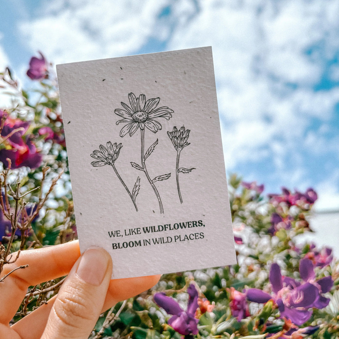 Spell Weaves Sustainability and Style 🌿✨: Unveiling the 2024 Collection and Impactful Initiatives 📚🌱 - Plantacard