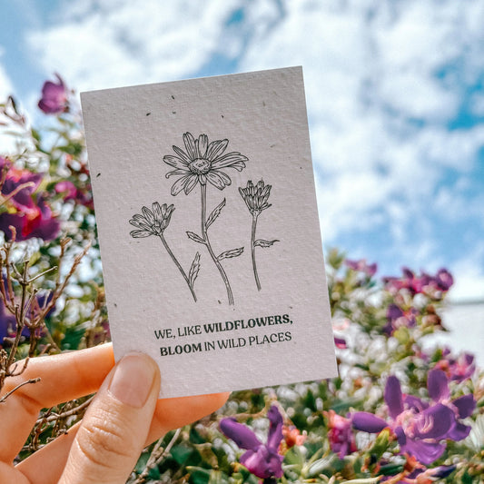 Spell Weaves Sustainability and Style 🌿✨: Unveiling the 2024 Collection and Impactful Initiatives 📚🌱 - Plantacard