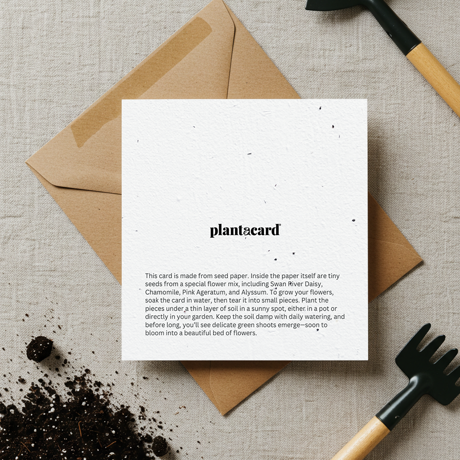 SOW🌱Plantacard 10pk (Mixed Flowers)