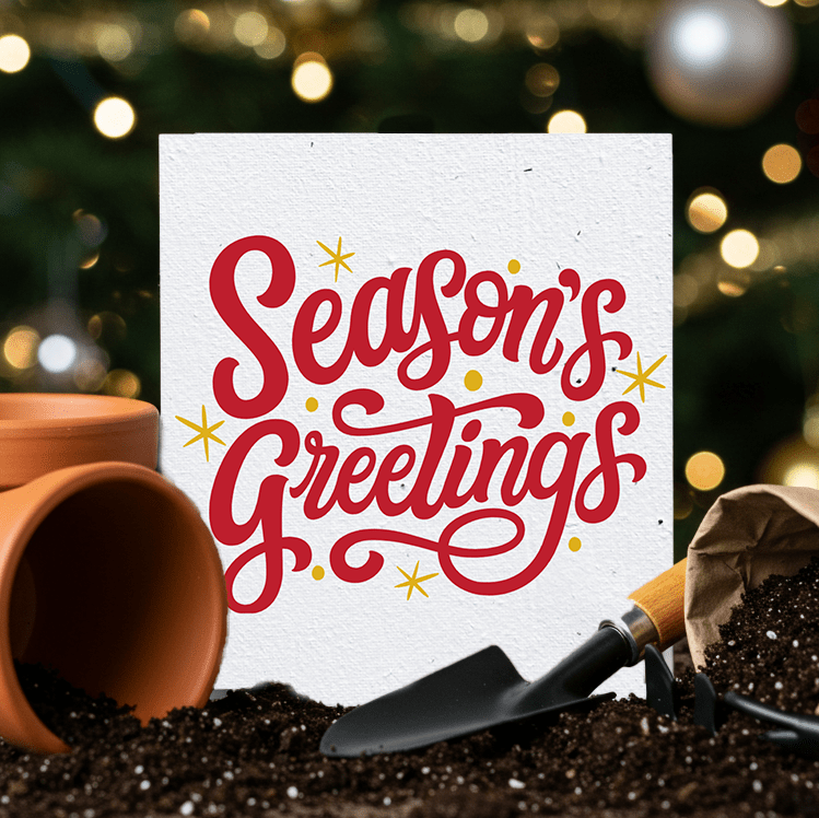 Plantable Christmas Cards (min order 25) - Plantacard