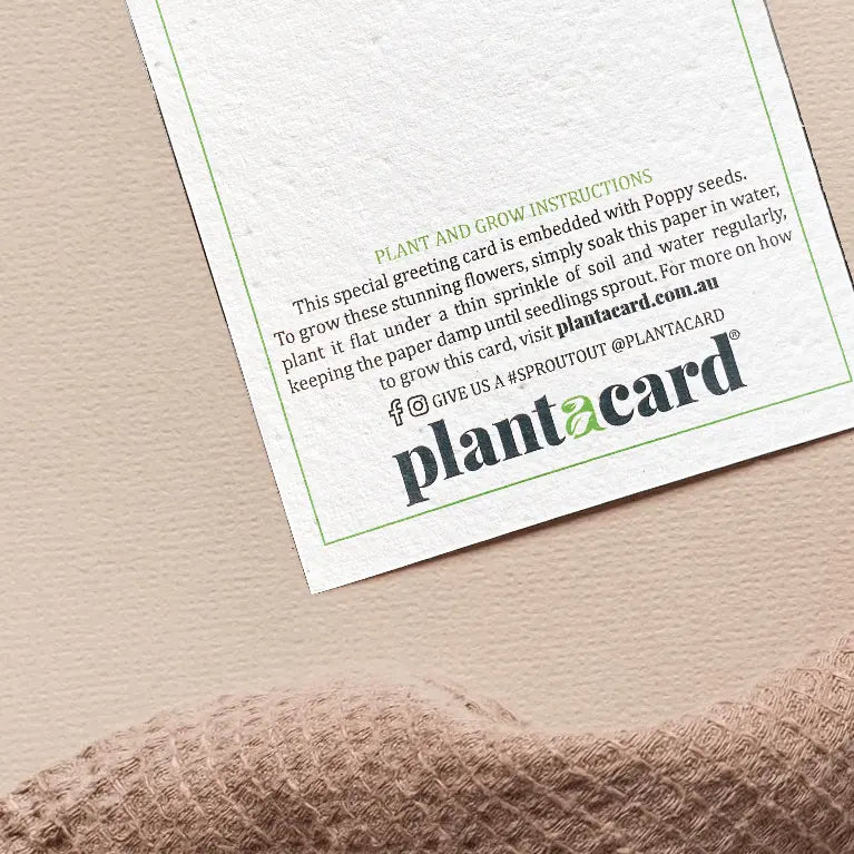 POPPY BLOOM🌱Plantacard 10pk (Poppy) - Plantacard