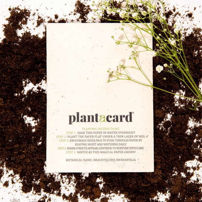 🌱🌟 Embrace Sustainability and Style: The Coolest Way to Save the Planet with Seed Paper! 🌿🌎 - Plantacard