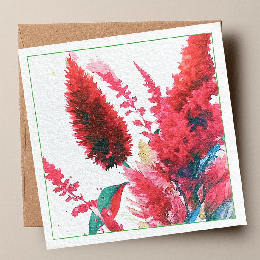 BOTTLEBRUSH BEAUTY🌱Plantacard 10pk (Bottlebrush)