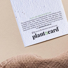 A LITTLE NOTE Plantacard🌱Grow me into Swan River Daisy, Chamomile, Alyssum & Pink Ageratum