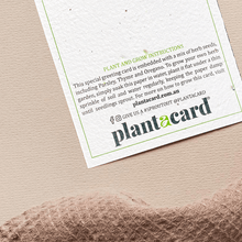 HERB HAVEN🌱Plantacard 10pk (Mixed Herbs)