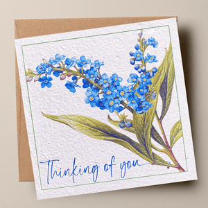 THINKING OF YOU🌱Plantacard 10pk (Forget-me-not)