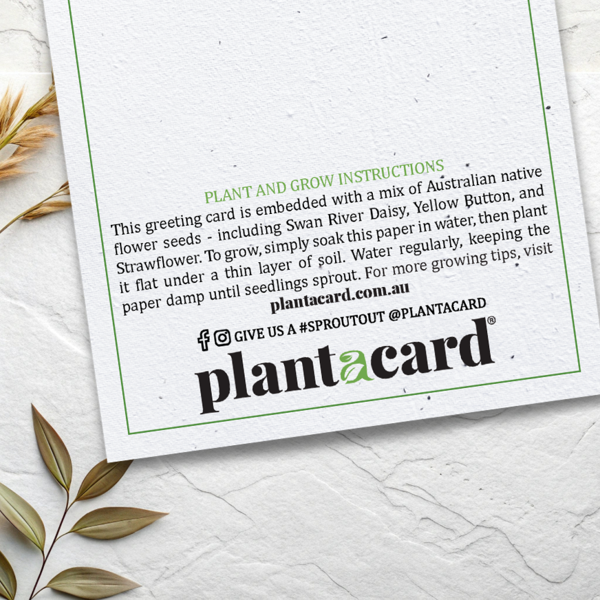 Christmas Gingerbread Plantable Card