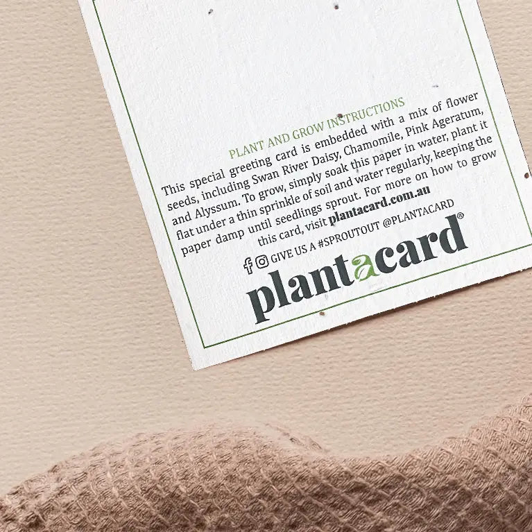 A Little Note Plantable Card - Plantacard