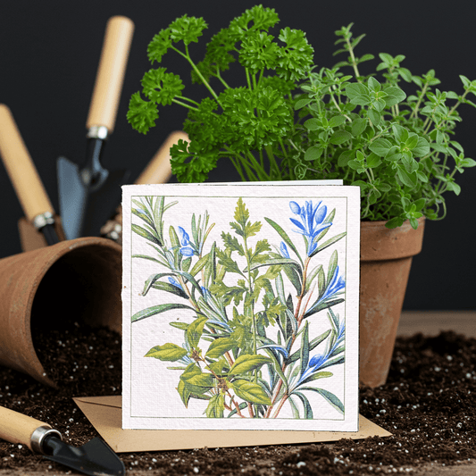 Herb Haven Plantable Card - Plantacard