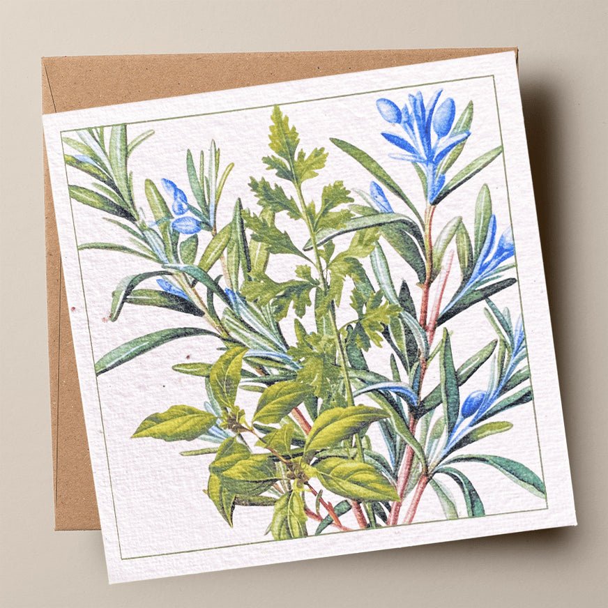 Herb Haven Plantable Card - Plantacard