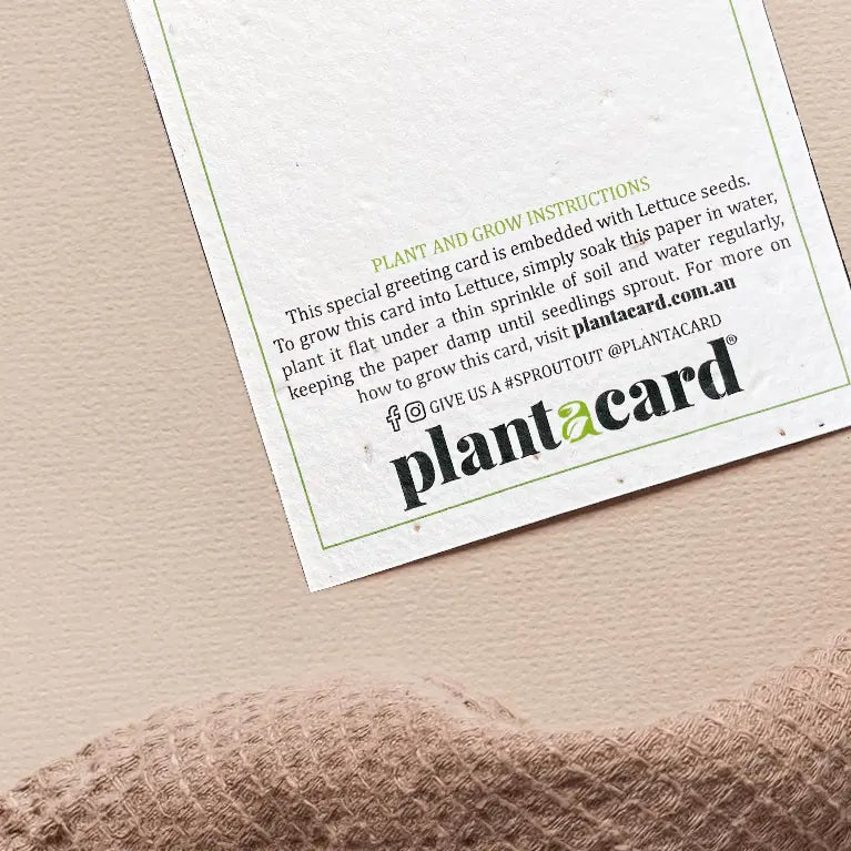 Lettuce Grow Plantable Card - Plantacard