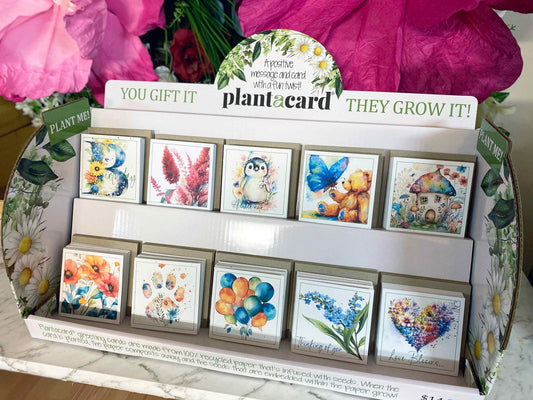 New Stockists: Plantacard Retail Kit With FREE Display Stand (KIT100) - Plantacard