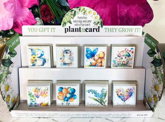 New Stockists: Plantacard Retail Kit With FREE Display Stand (KIT80) - Plantacard