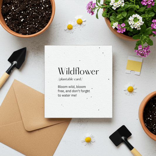 WILDFLOWER🌱Plantacard 10pk (Mixed Flowers) - Plantacard